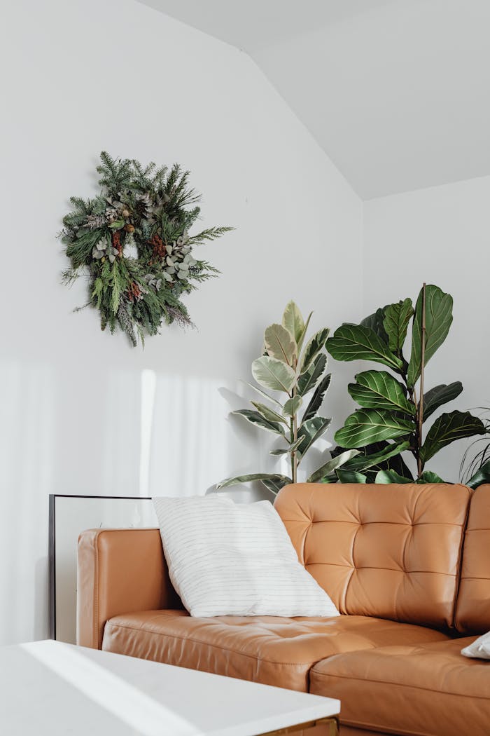 Service Stylish living room featuring a leather sofa, indoor plants, and a wall-mounted wreath for a fresh look.